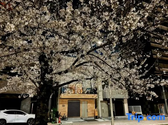 Sakura Retreat2 | Near Namba Nihonbashi | New house | 4 BR 2WC 2BA | 3 min-walk from Station