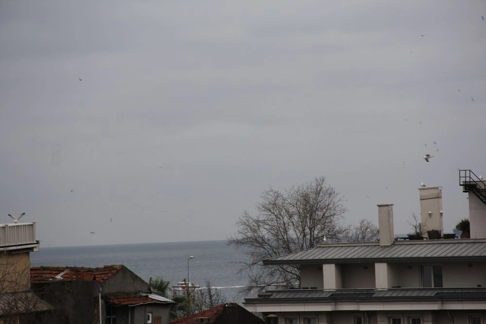 Oli̇ve Garden Hotel