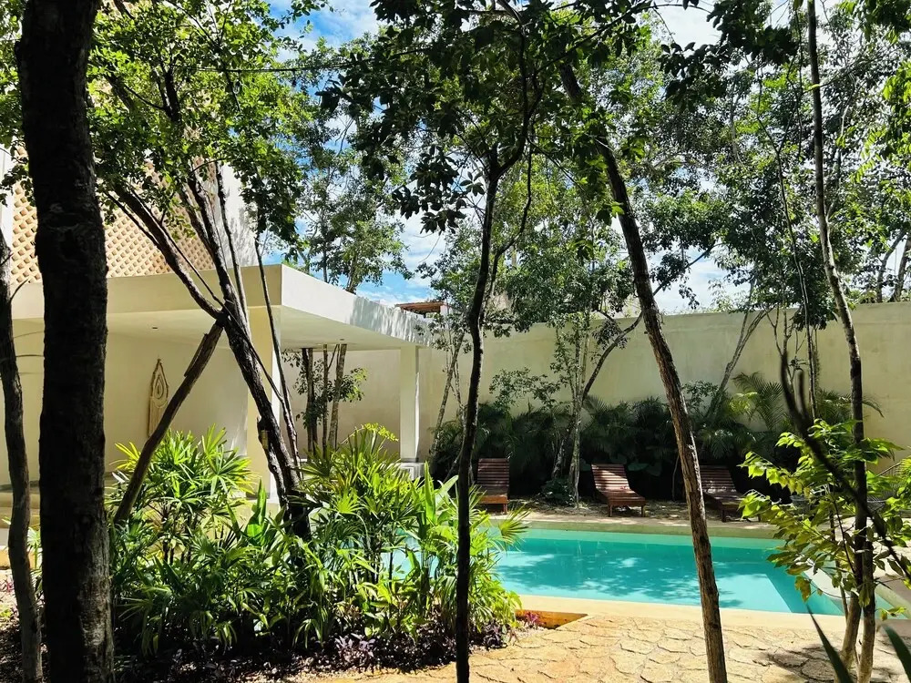 Jungle  Studio Balcony & Hammock S19
