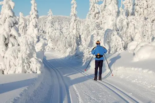Kvitåvatn Fjellhytter