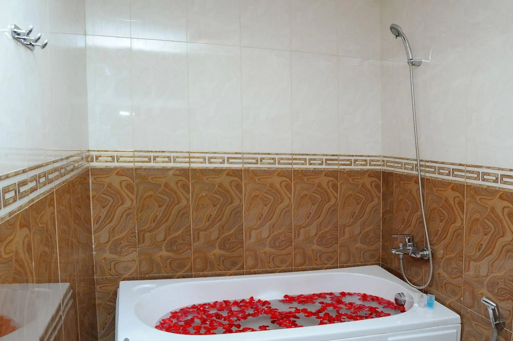 Begonia Nha Trang Hotel