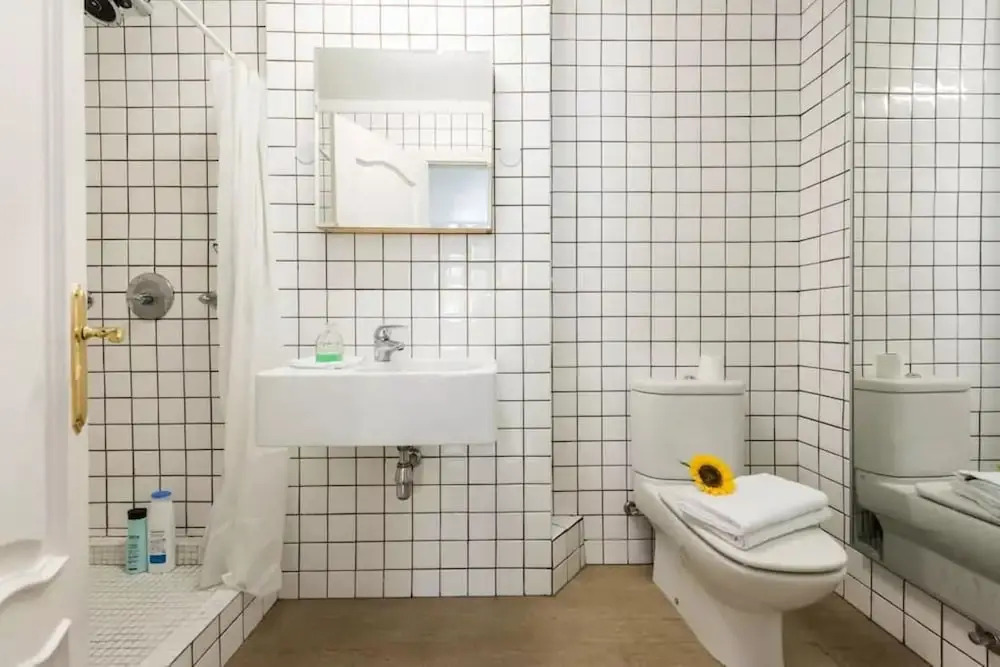 Luxury Flat Plaza Mayor