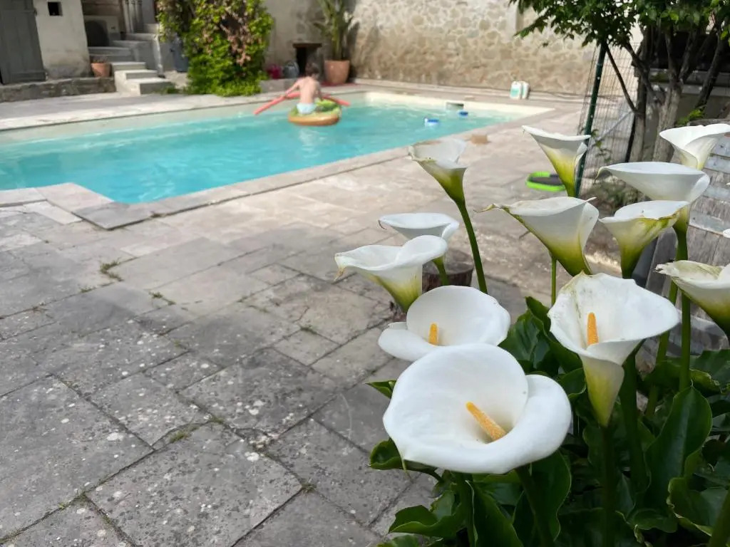 Domaine de Massiot, piscine, lac, calme et nature