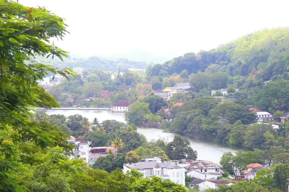 The Dorwin Heights