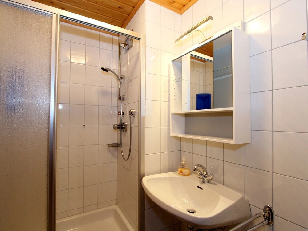 Luxury Apartment Near Ski Area In Salzburg
