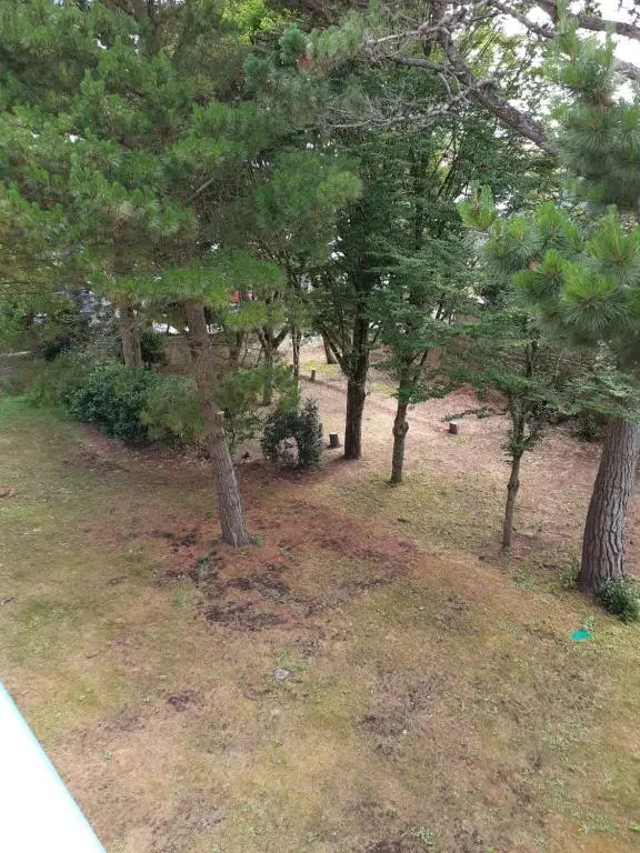 APPARTEMENT AU CALME AVEC PISCINE ET PARKING dans résidence securisée