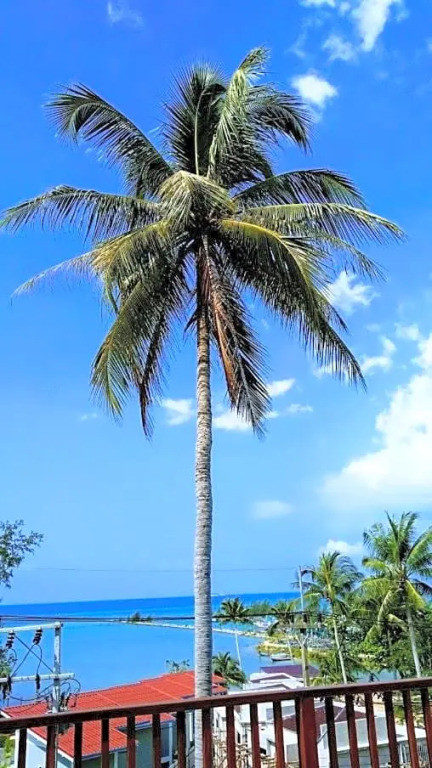 Le Grand Bleu Hotel
