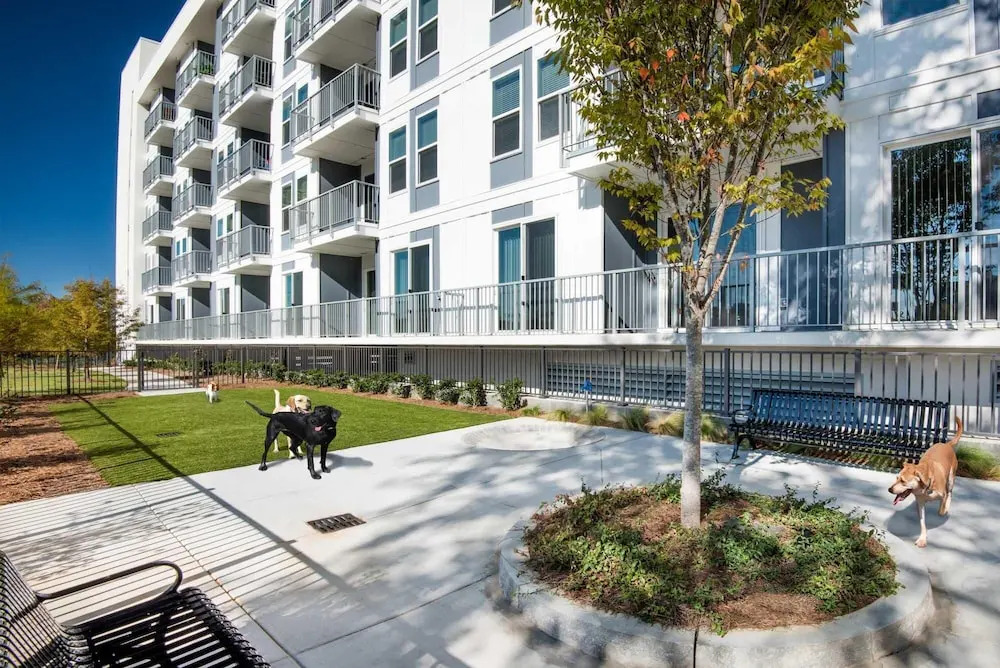 S2bb Bright 2-br Midtown Apartment With Pool and Gym