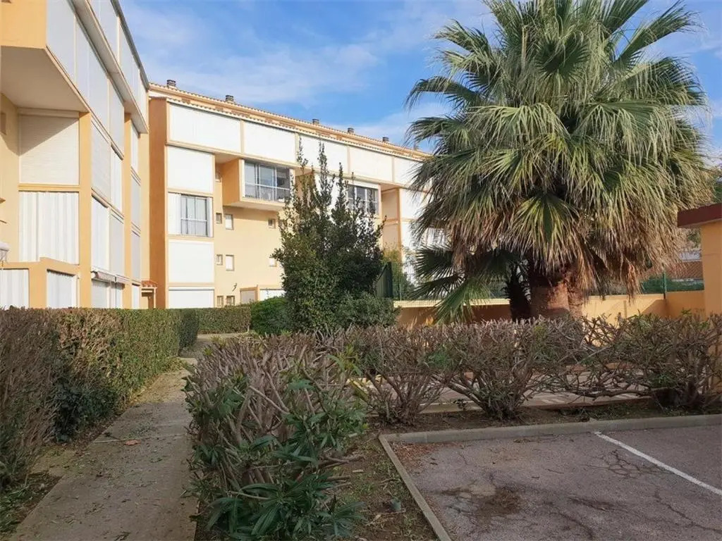 Appartement Argelès-sur-Mer, 2 pièces, 4 personnes - FR-1-388-4