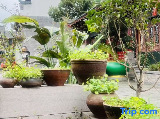 Yunyin Bieyuan Homestay (Longevity Town Changshou North Station)