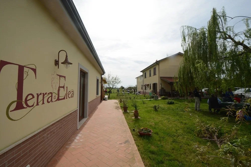 Agriturismo Terra Di Elea azienda agricola di Raimondo MIchela