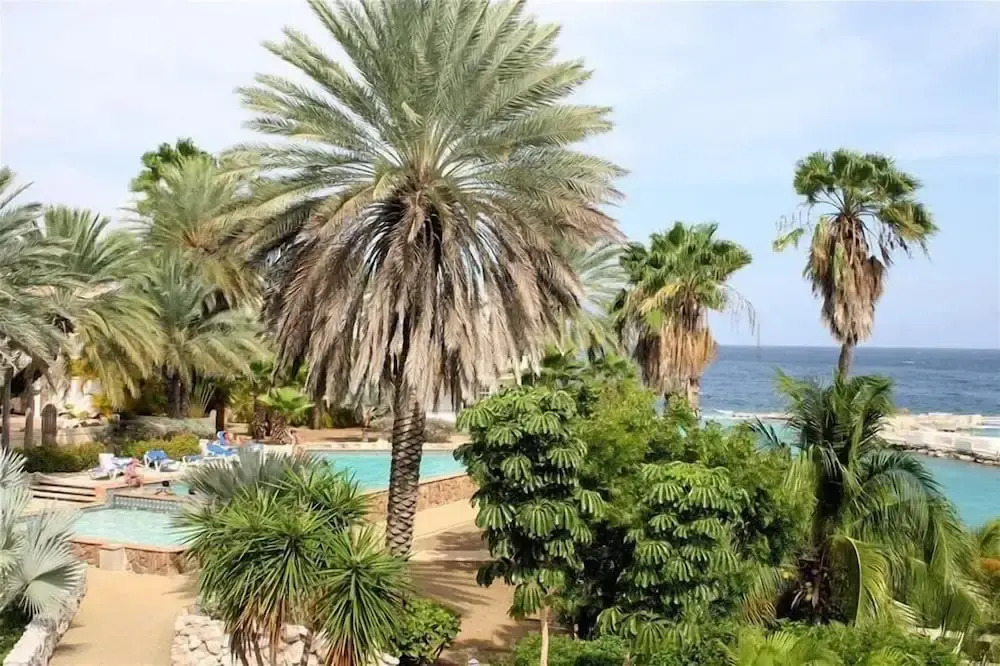 Ocean Resort Apartment Warawara