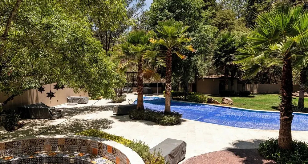 Vista del Bosque