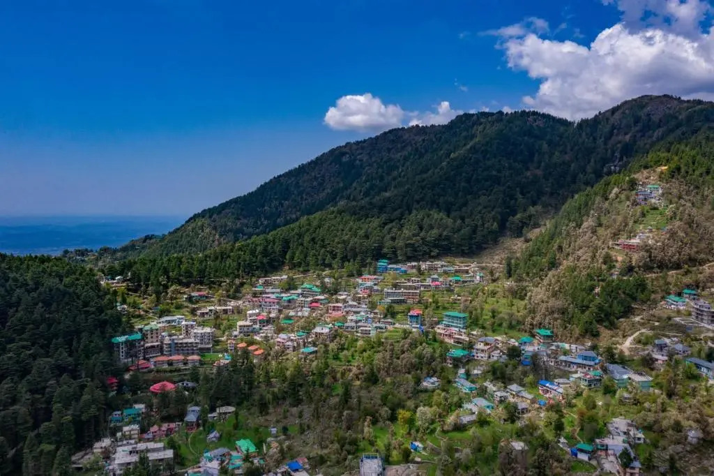 Alt Life - Dharamkot - Hostel