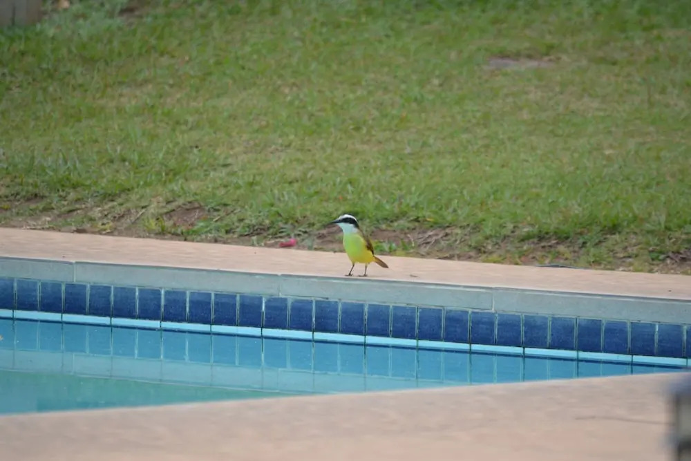 Pantanal Ranch Meia Lua