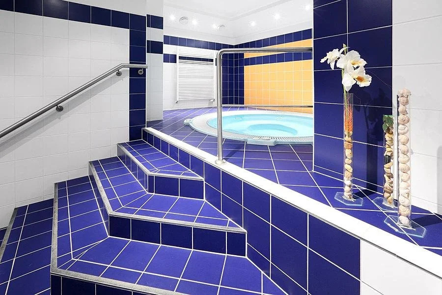 Wellness Hotel IRIS