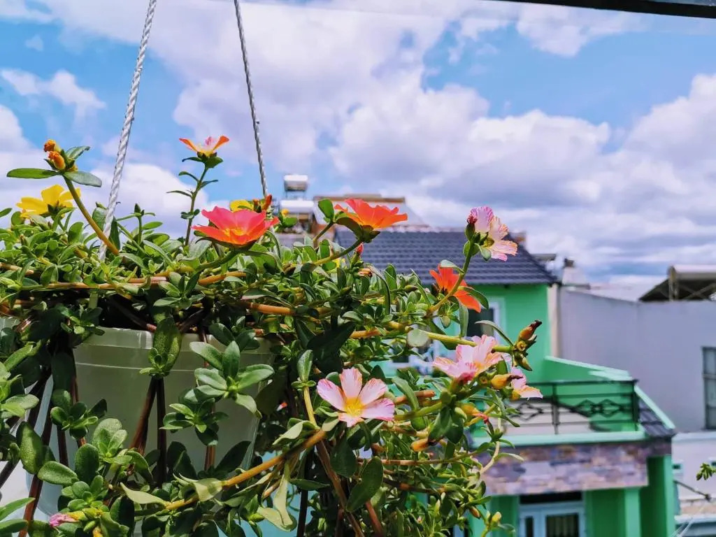 Dalat Che House