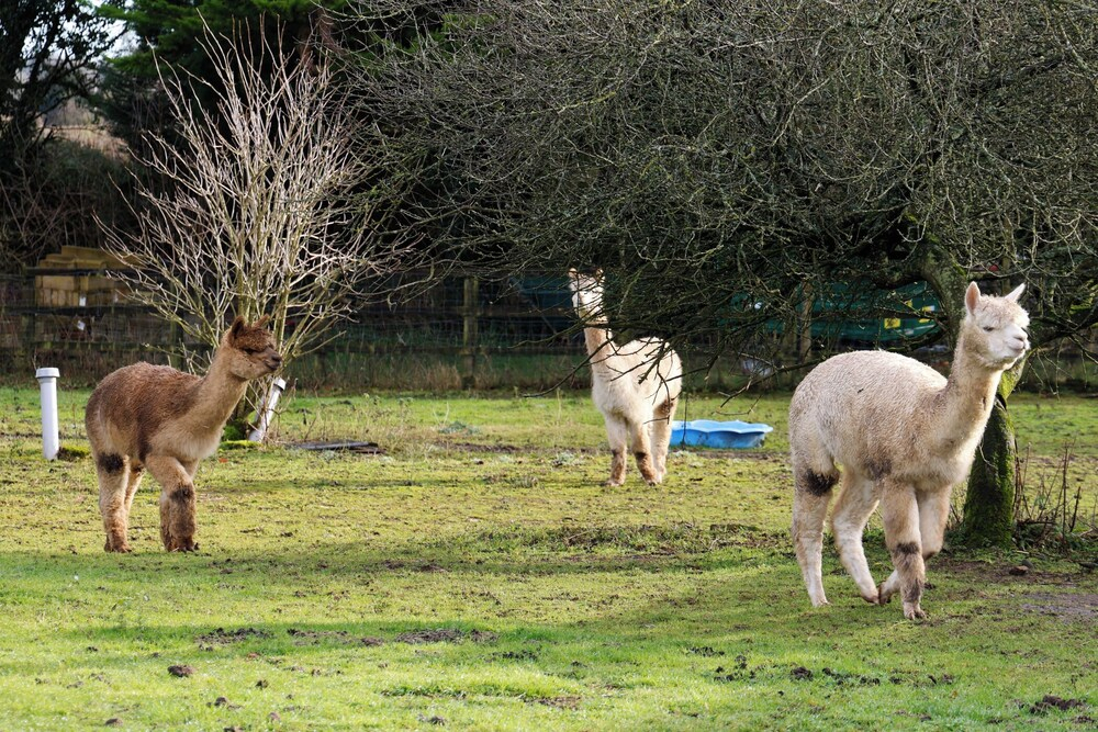 Bathway Farm