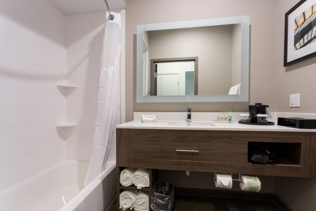 Holiday Inn San Marcos Convention Center by IHG