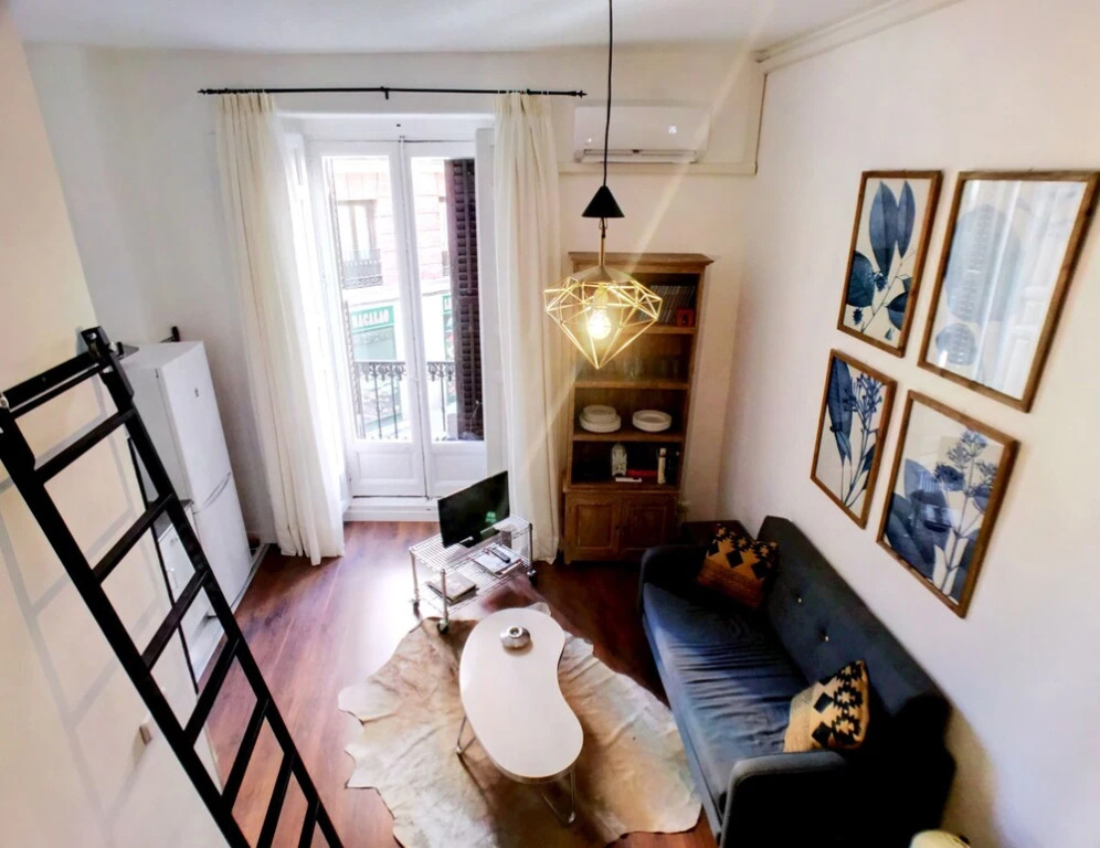 Apartamentos MLR Lavapiés