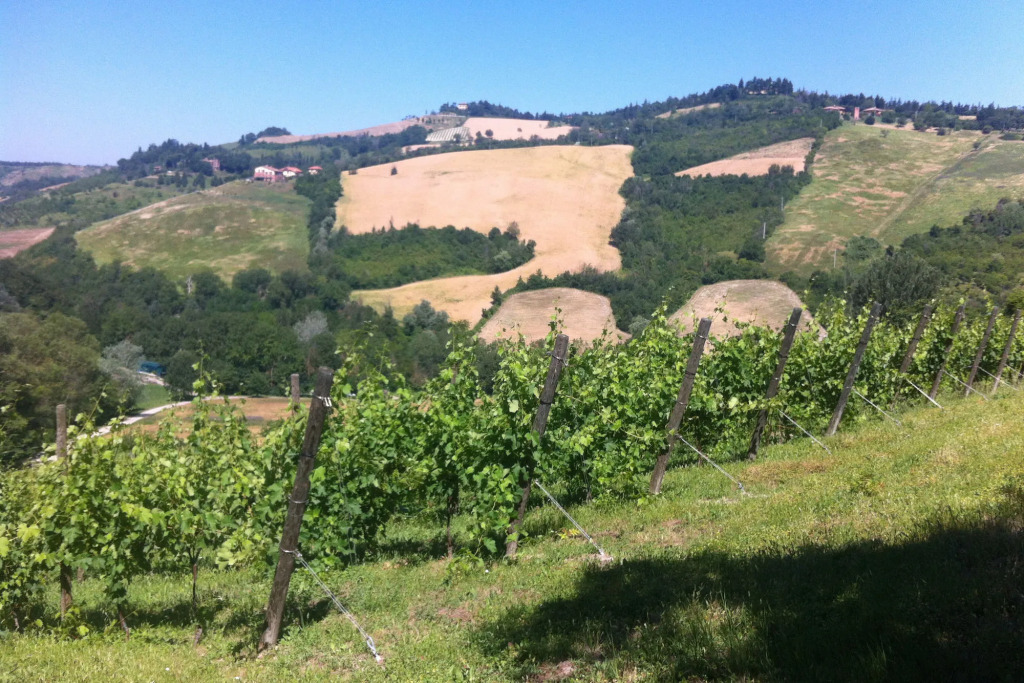 Agriturismo Ben Ti Voglio