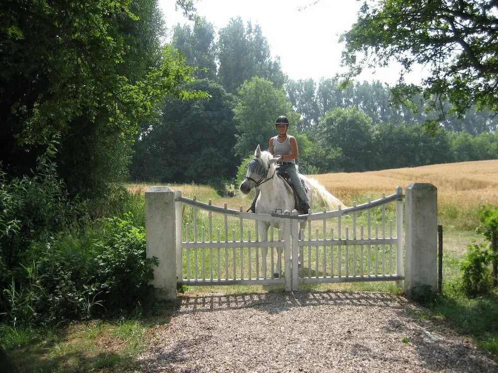 Ferienwohnungen Gut Oestergaard