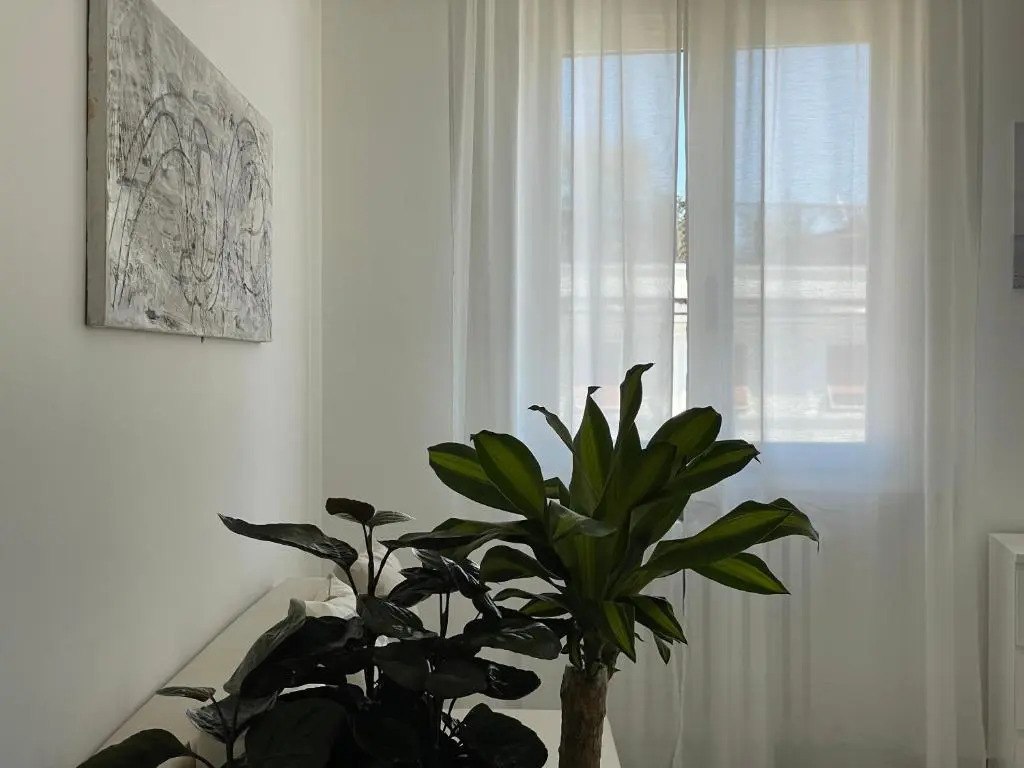 Atelier Rimini 2
