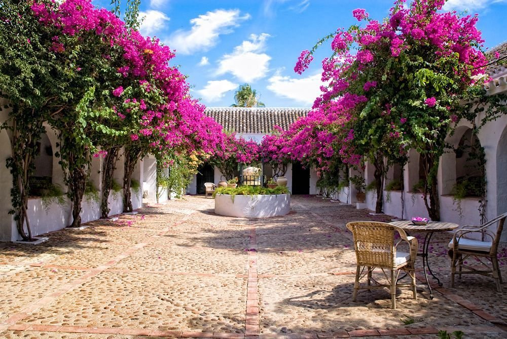 Hacienda De San Rafael, Seville Image 11