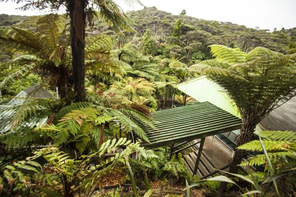 The Institute of Awesome at Karioi Lodge
