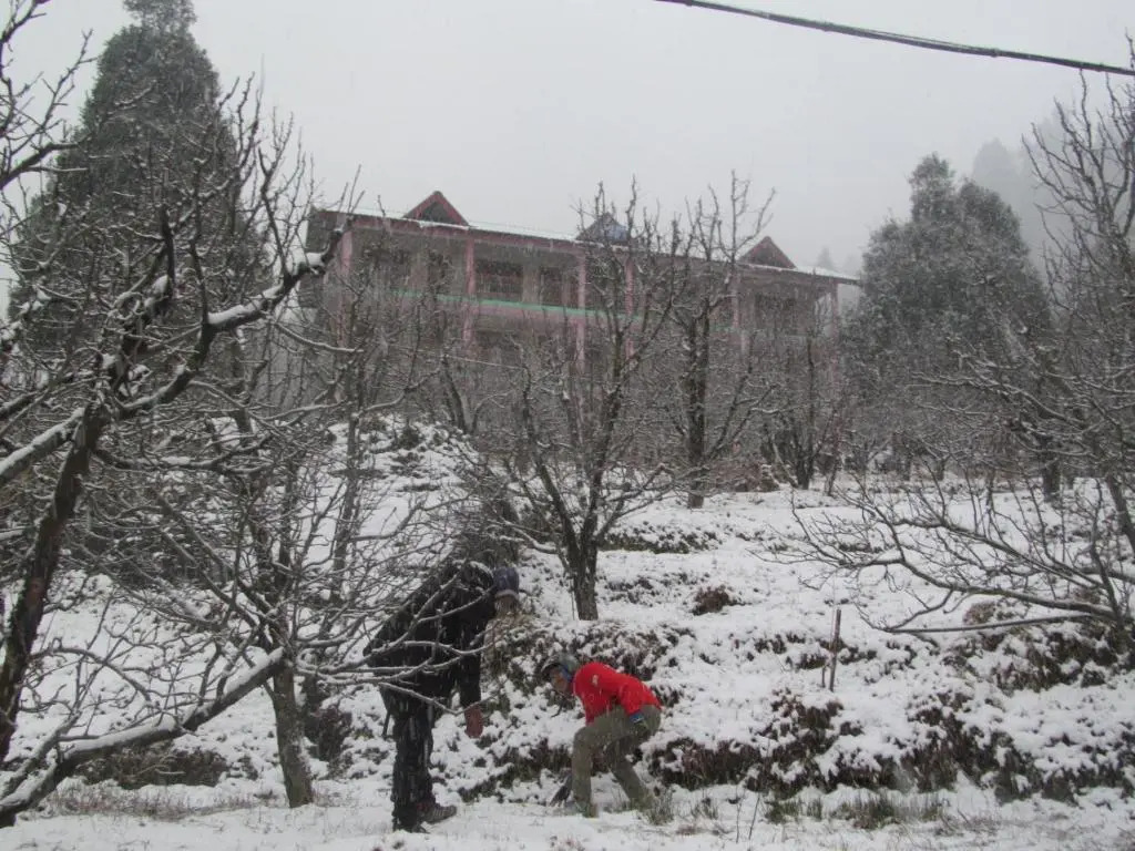 Manali top Inn & Cafe