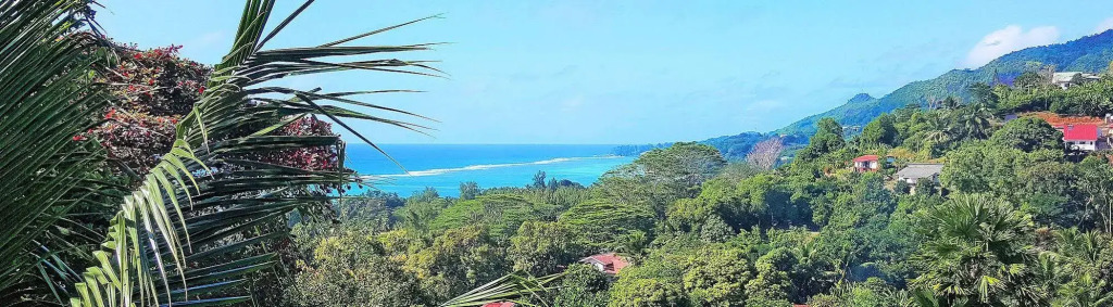 Albizia Lodge Reef Estate