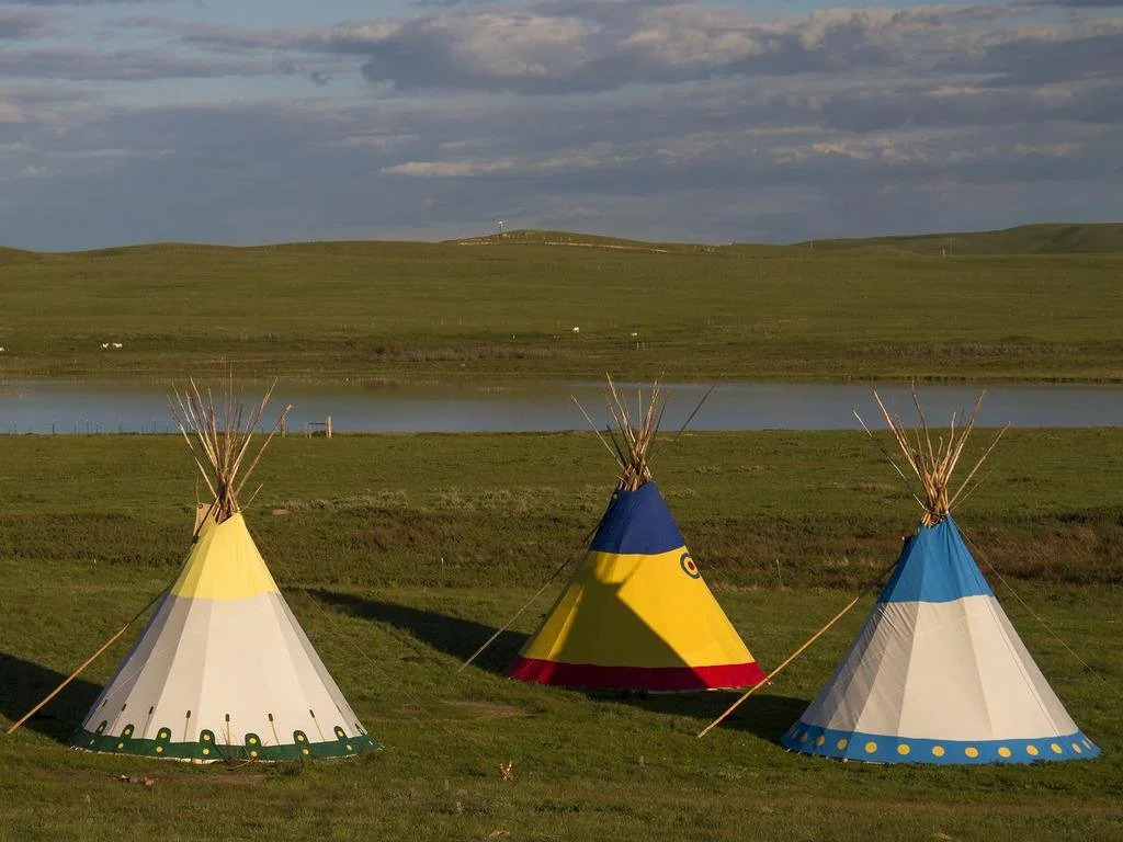 Lodgepole Gallery