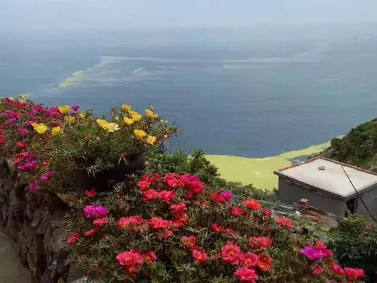 Qingdao Lingshan Island Chunshe Homestay