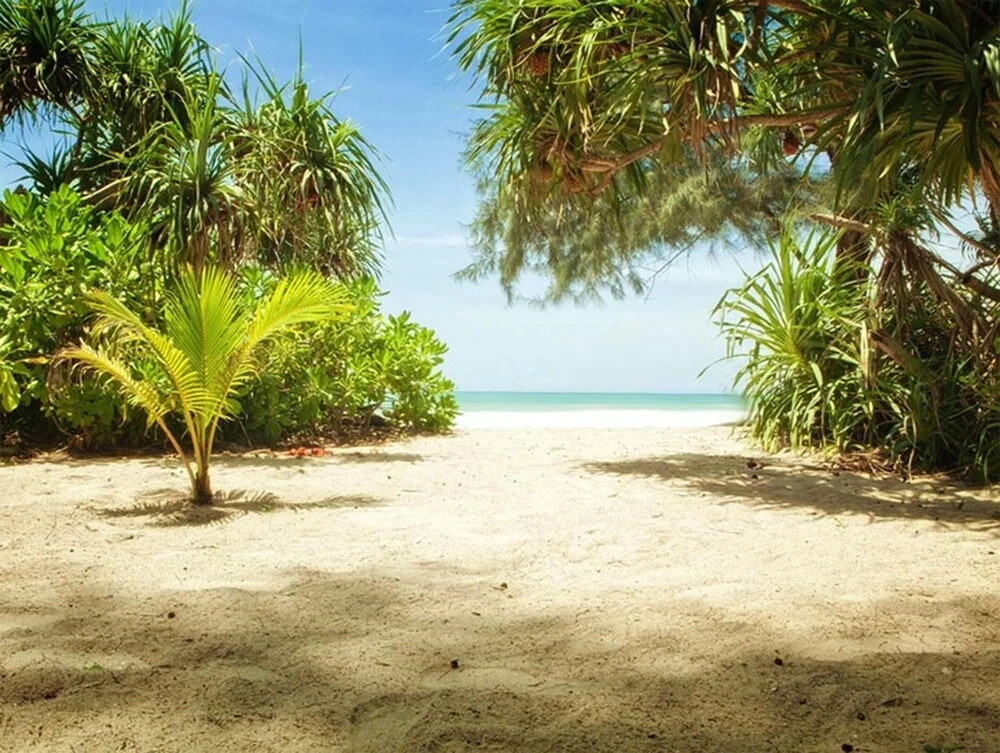 Apartment With one Bedroom in Le Robert, With Wonderful sea View, Enclosed Garden and Wifi - 5 km From the Beach