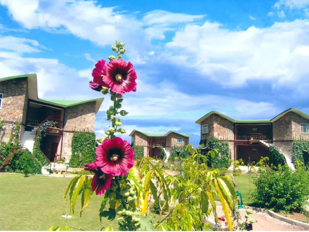 The Fern Ranthambhore Forest Resort Sawai Madhopur, Series by Marriott