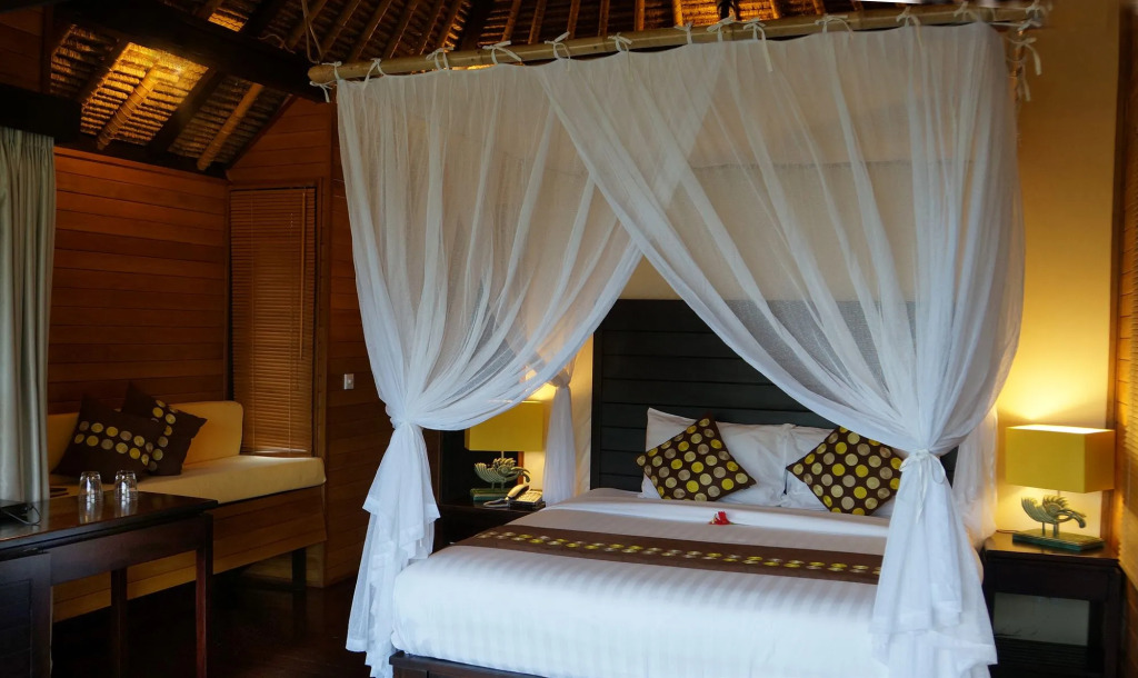 Samanvaya
