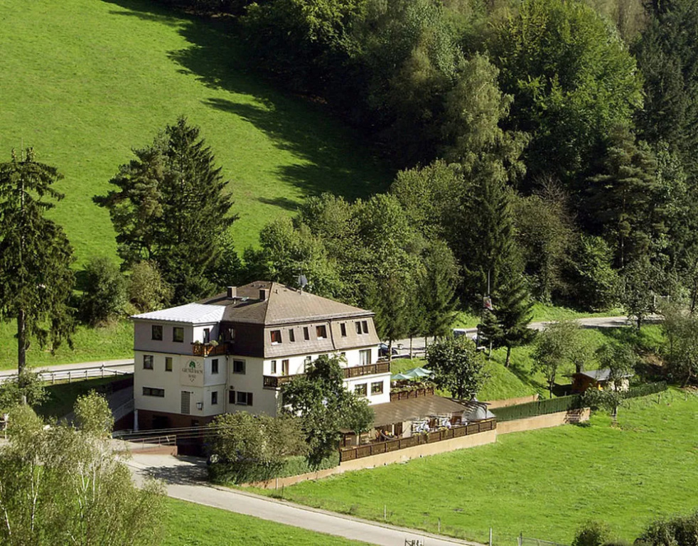Hotel Grüner Baum mit Restaurant & Wellness