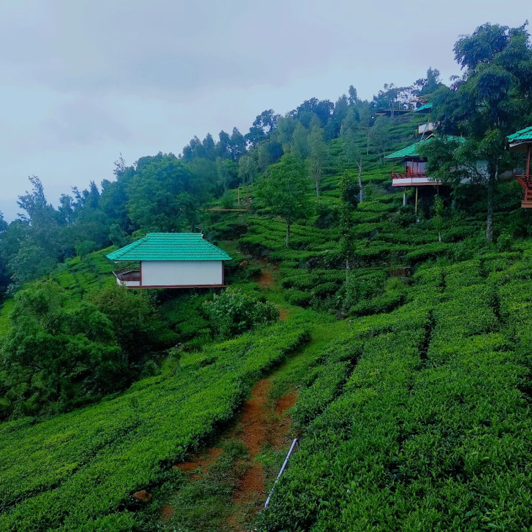 Vythiri Hills Nature Resort