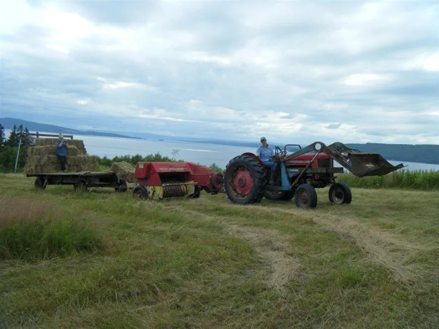 Seaweed and Sod Farm Bed & Breakfast