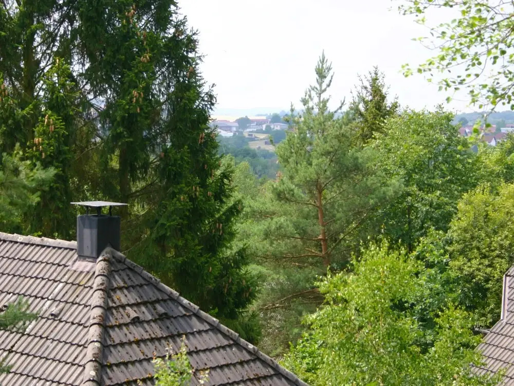 Willingen Frankenau in Frankenau
