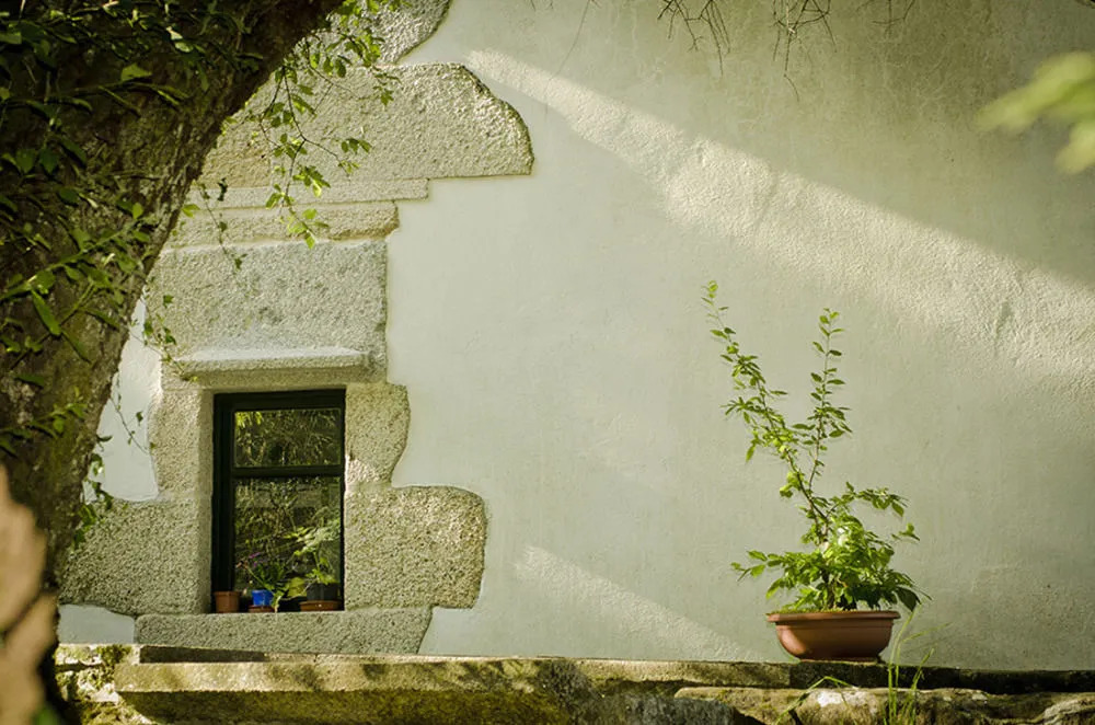 Entre Os Ríos - Casa Rural y Enoturismo