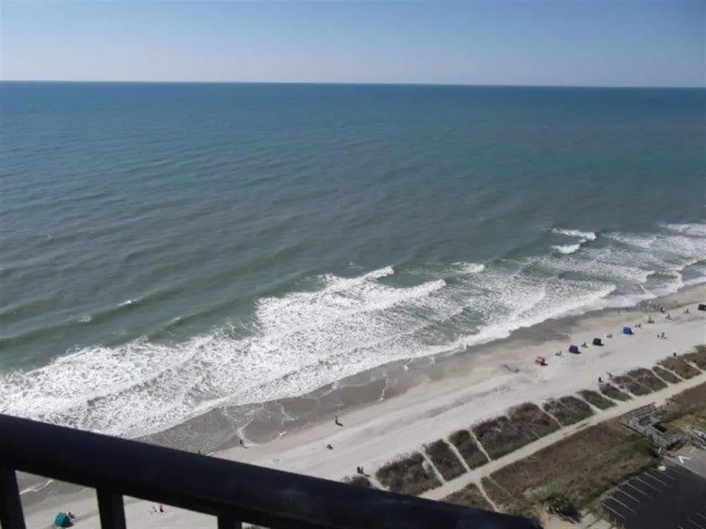 The Palace Resort #2311 Ocean Front (P) by RedAwning