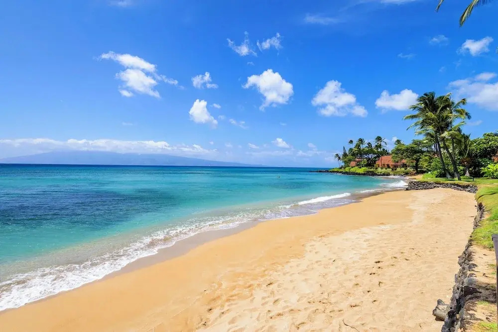 Hale Mahina A207