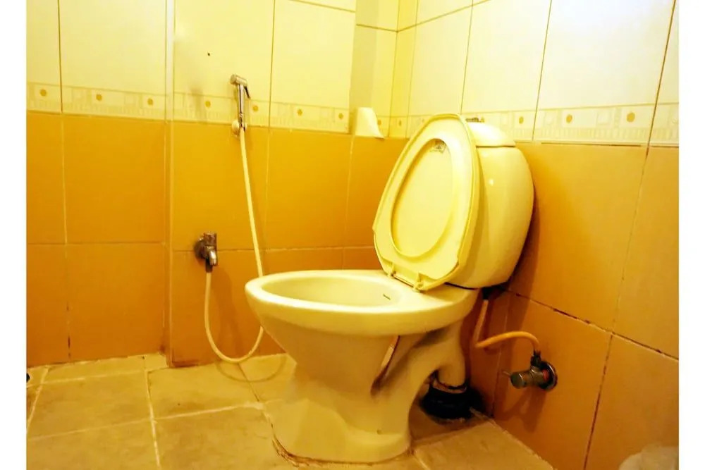 OYO 18454 Hallmark Inn Begumpet