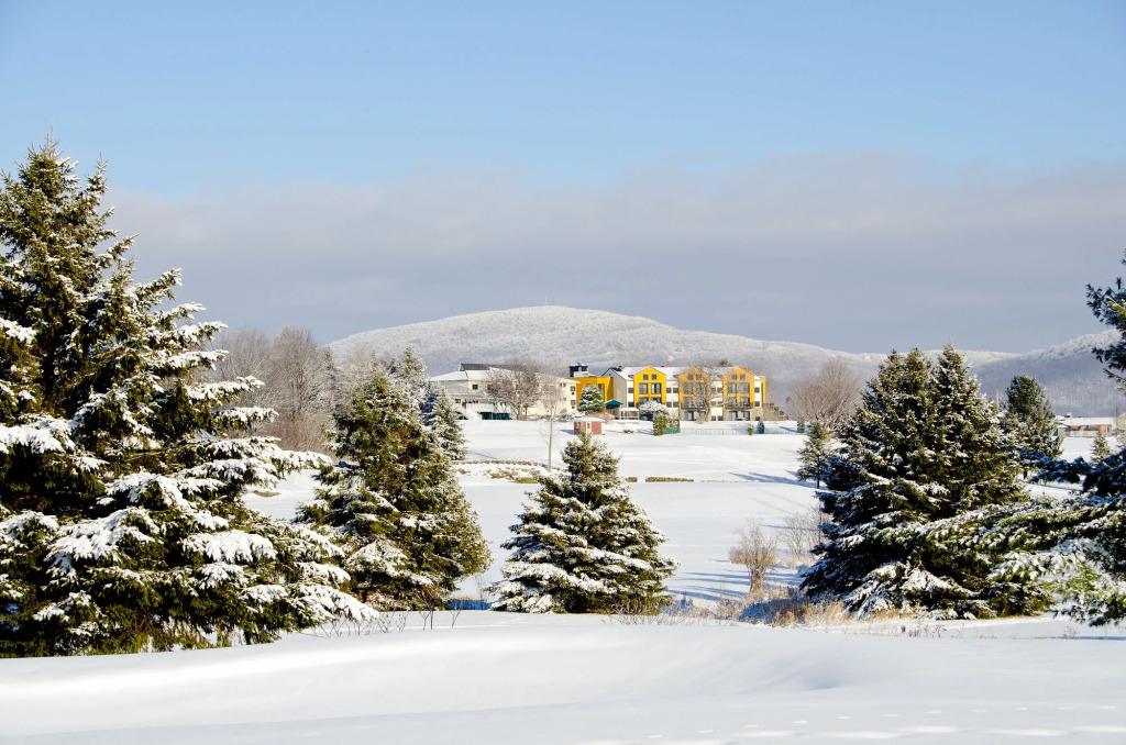 Auberge Château Bromont