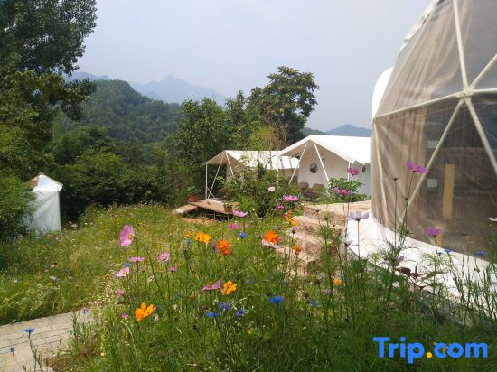 Song Wild Luxury Tent Homestay