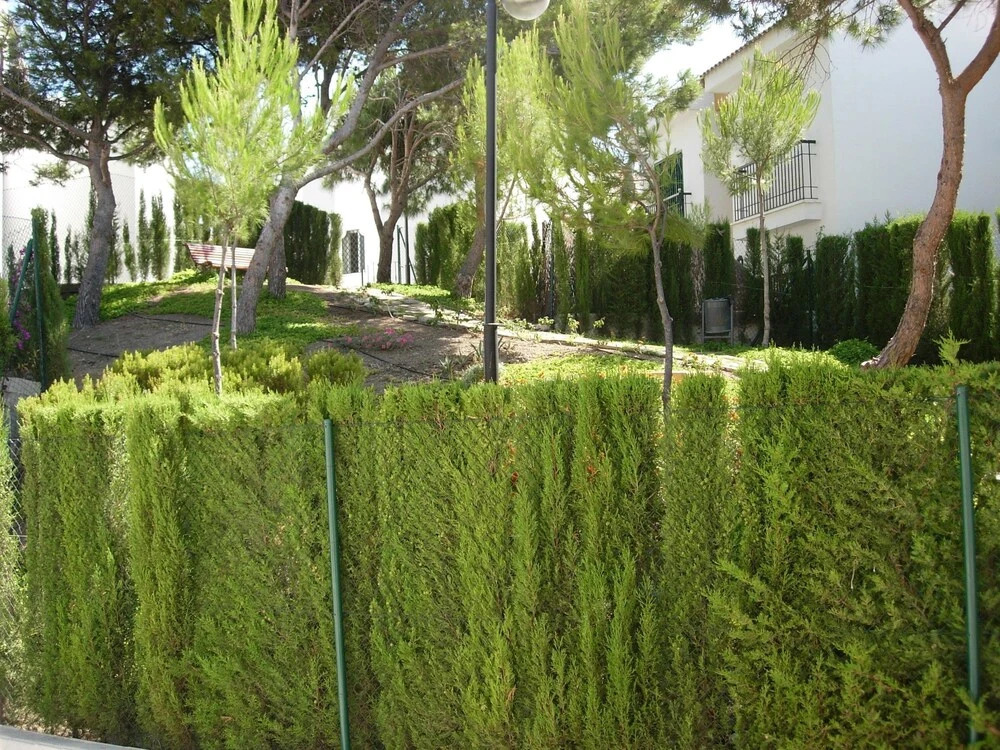 SCH Casa La Perla