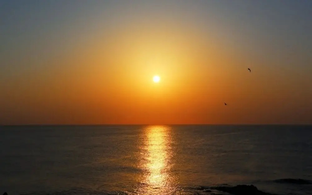 Pohang View 141 Pension