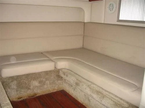 Freedom Boat in Lavagna Marine
