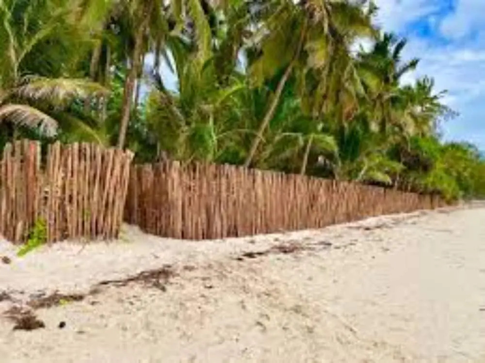 Diani Luxury Villas Diani By CHH